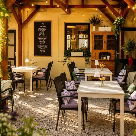 Hotel Merkur - Czech Leading Hotels-3